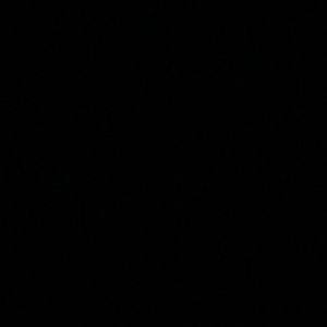 Meet your Posher, Daisy